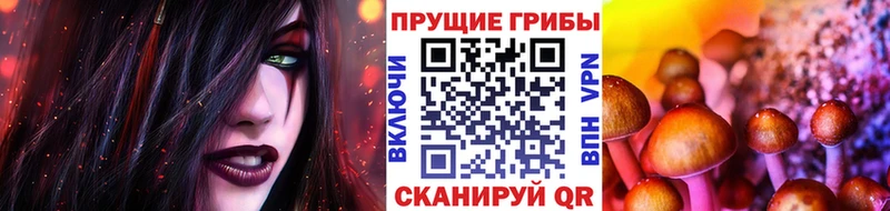 Псилоцибиновые грибы ЛСД Купить закладки Обоянь